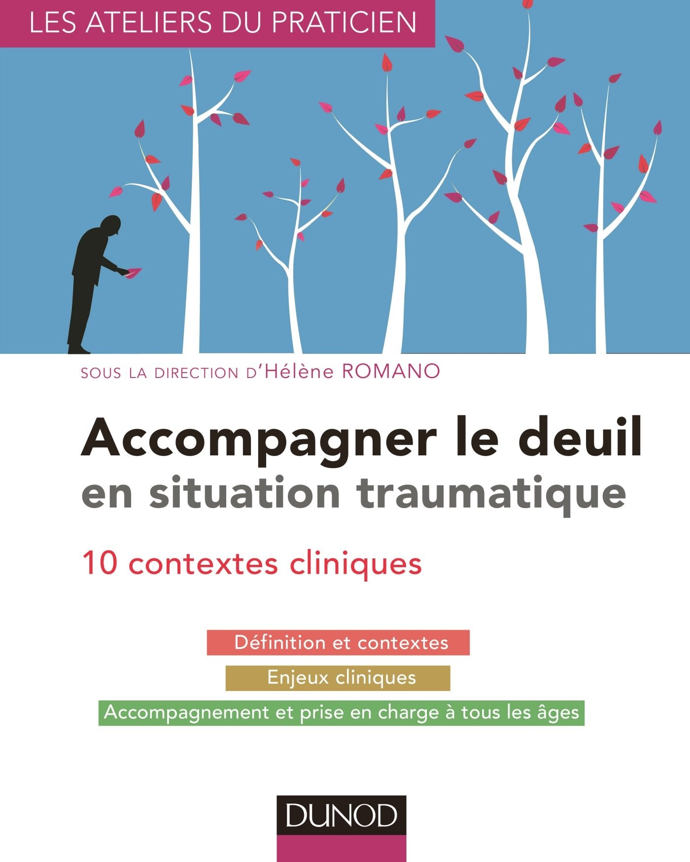 Accompagner le deuil en situation traumatique - 10 contextes cliniques: 10 contextes cliniques Psychology