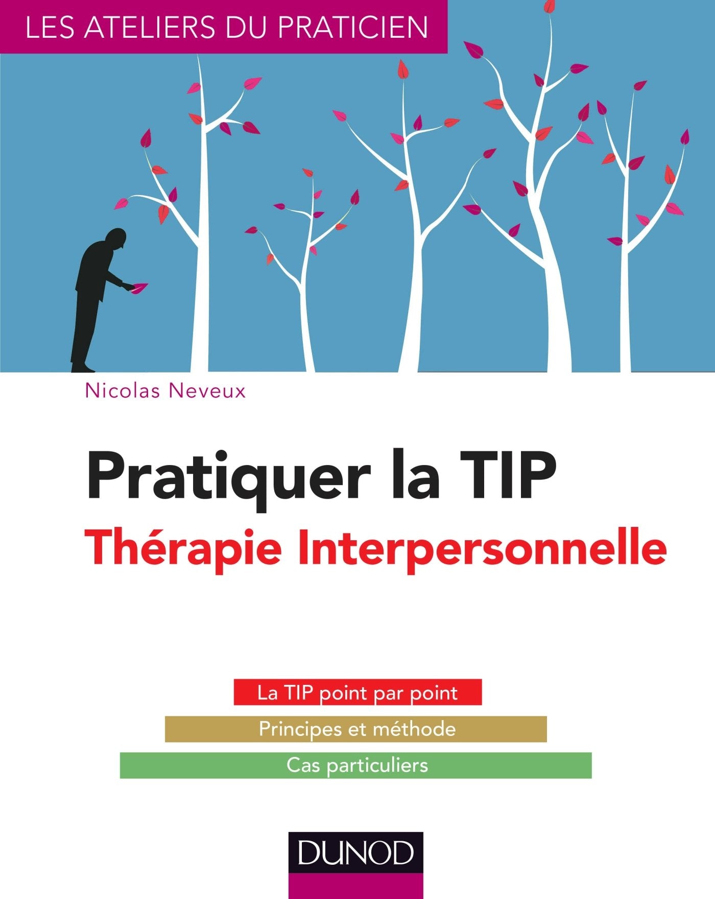 Pratiquer la TIP - Thérapie Interpersonnelle book