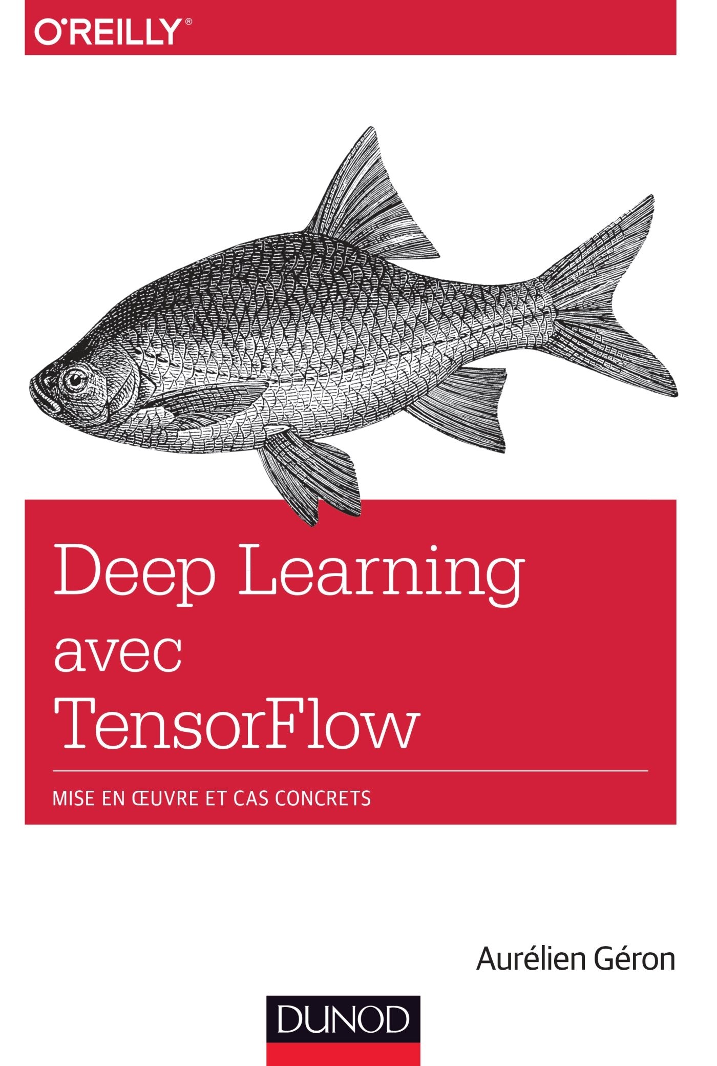 Deep Learning avec TensorFlow - Mise en oeuvre et cas concrets: Mise en oeuvre et cas concrets Computer Science