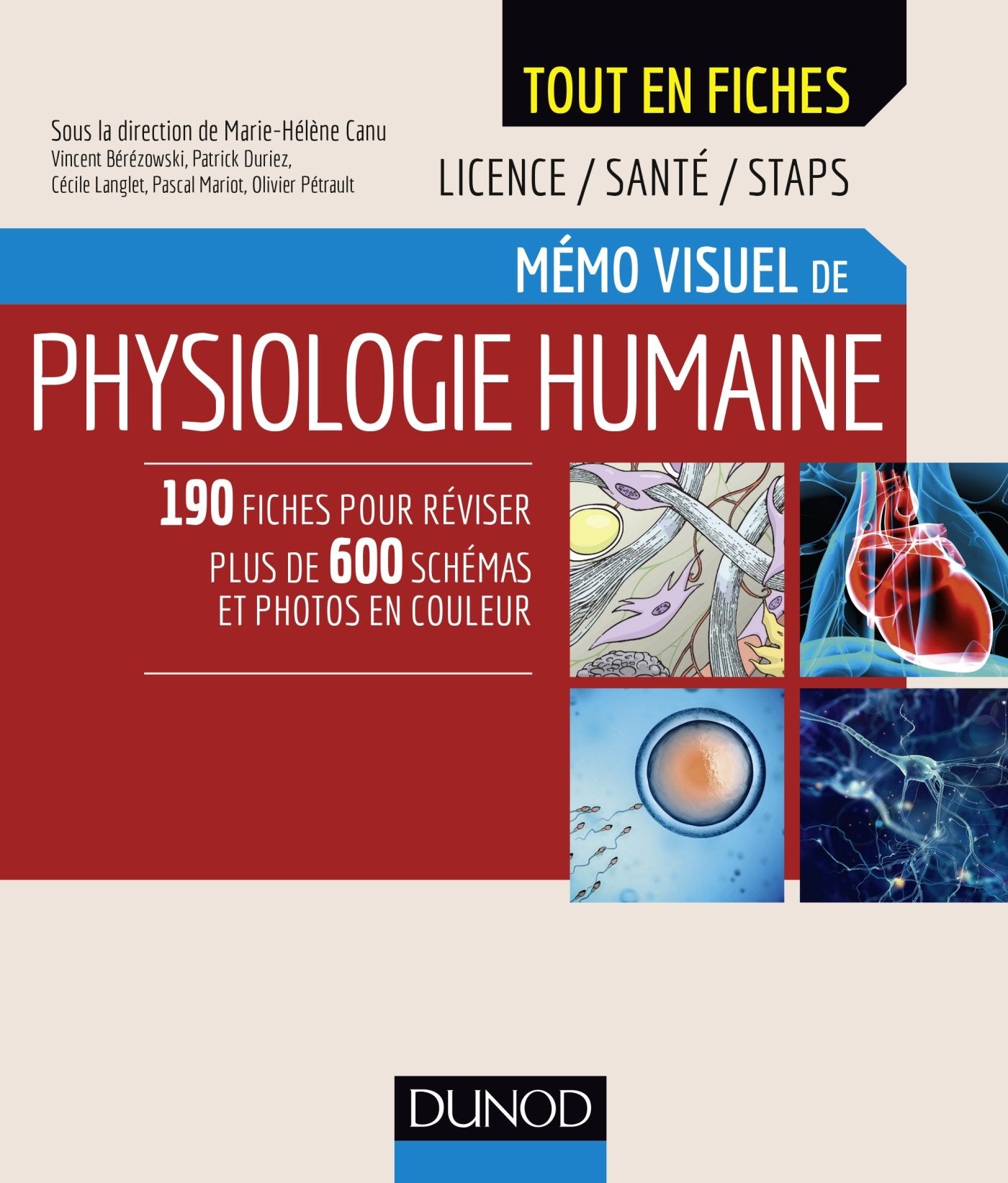 Mémo visuel de physiologie humaine book