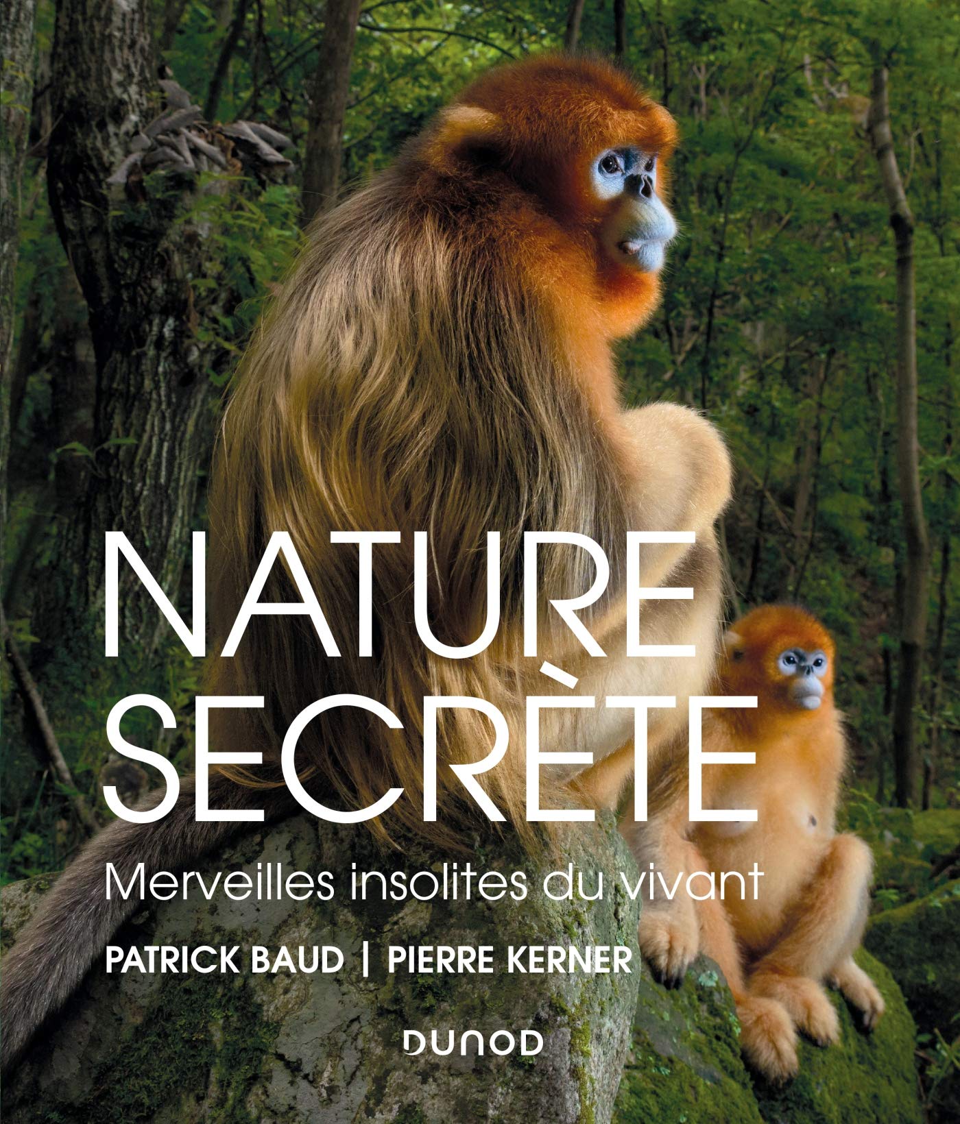 Nature secrète - Merveilles insolites du vivant: Merveilles insolites du vivant Film, Art & Culture