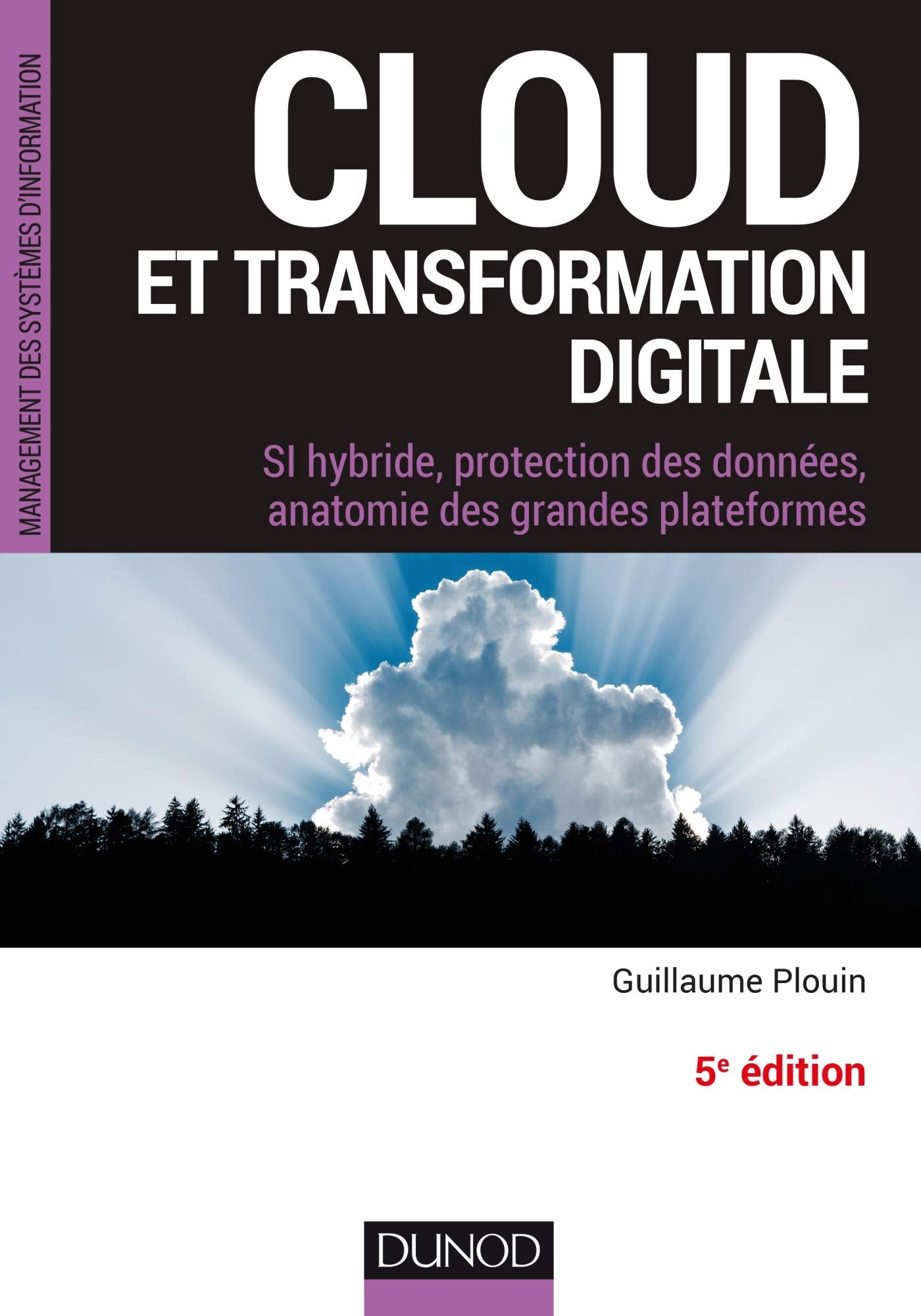 Cloud et transformation digitale - 5e éd - SI hybride, protection des données, anatomie des grandes: SI hybride, protection des données, anatomie des grandes plateformes Computer Science