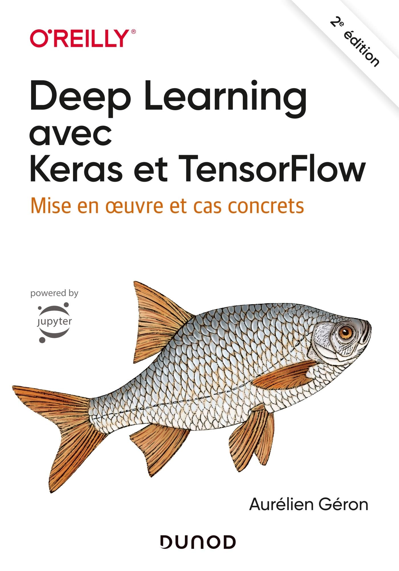 Deep Learning avec Keras et TensorFlow - 2e éd. - Mise en oeuvre et cas concrets: Mise en oeuvre et cas concrets Computer Science