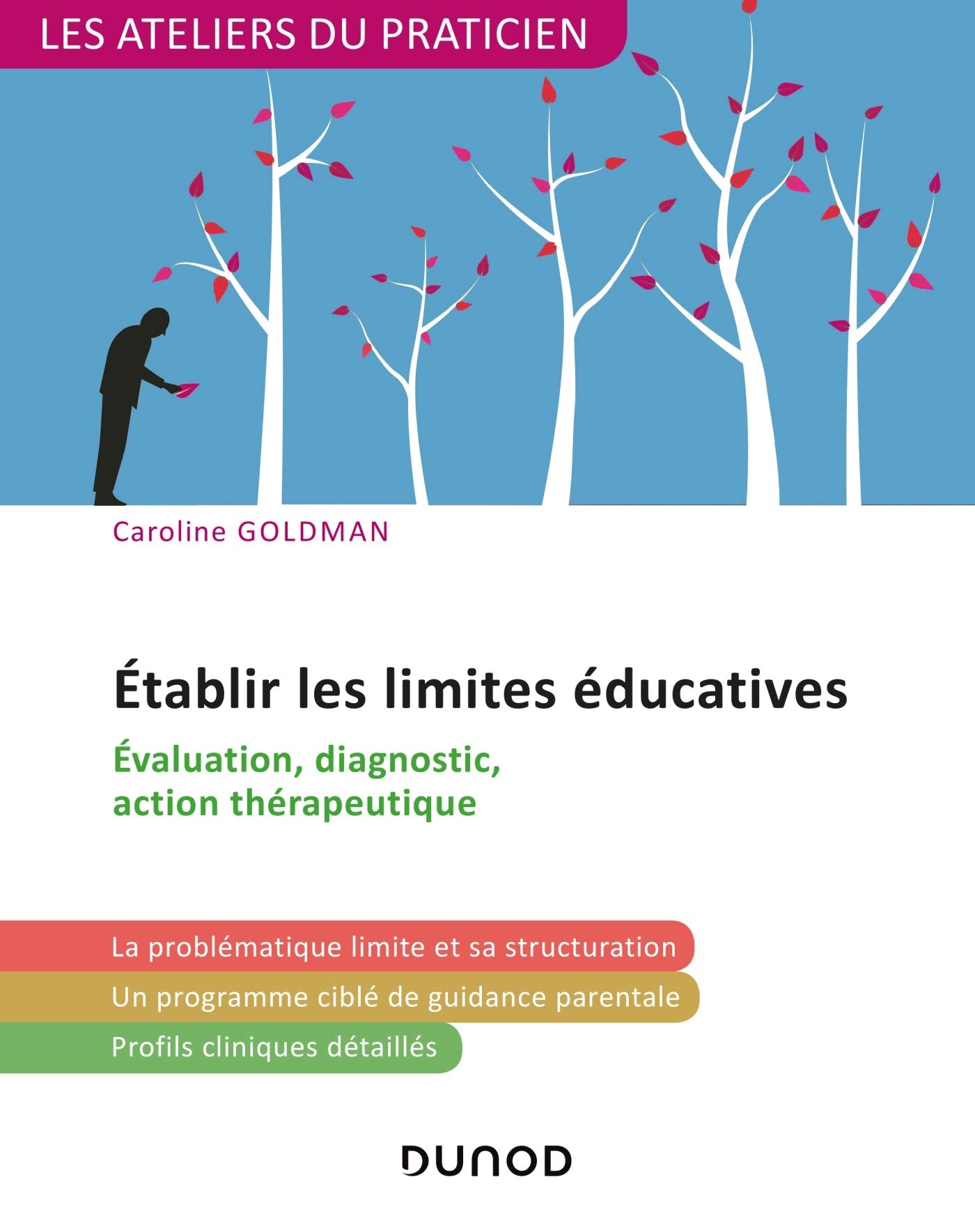 Etablir les limites éducatives - Évaluation, diagnostic, action thérapeutique: Évaluation, diagnostic, action thérapeutique Psychology