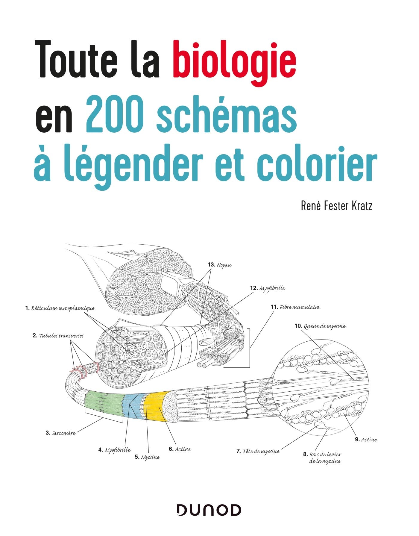 Toute la biologie en 200 schémas à légender et colorier Natural Sciences