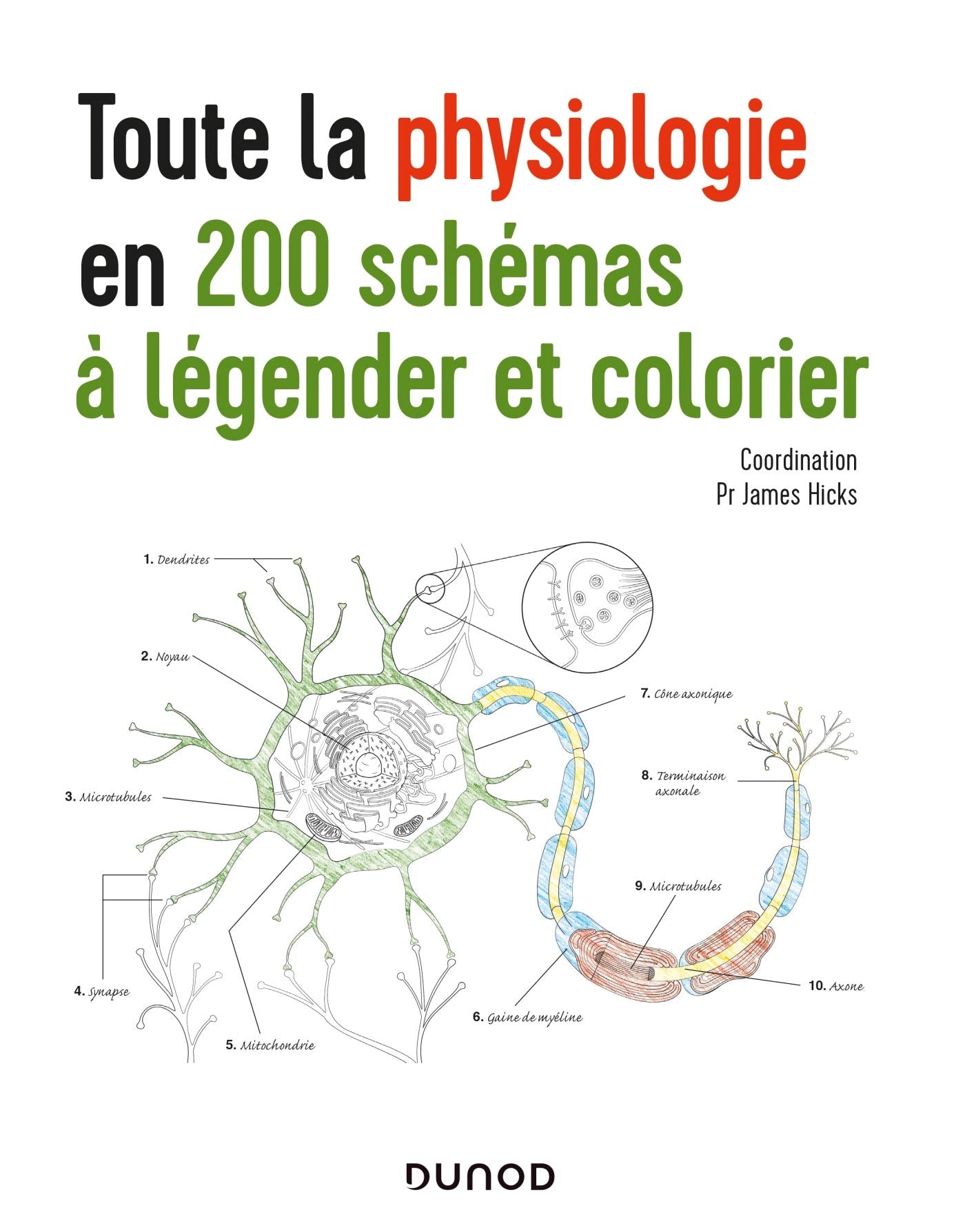 Toute la physiologie en 200 schémas à légender et colorier Medicine
