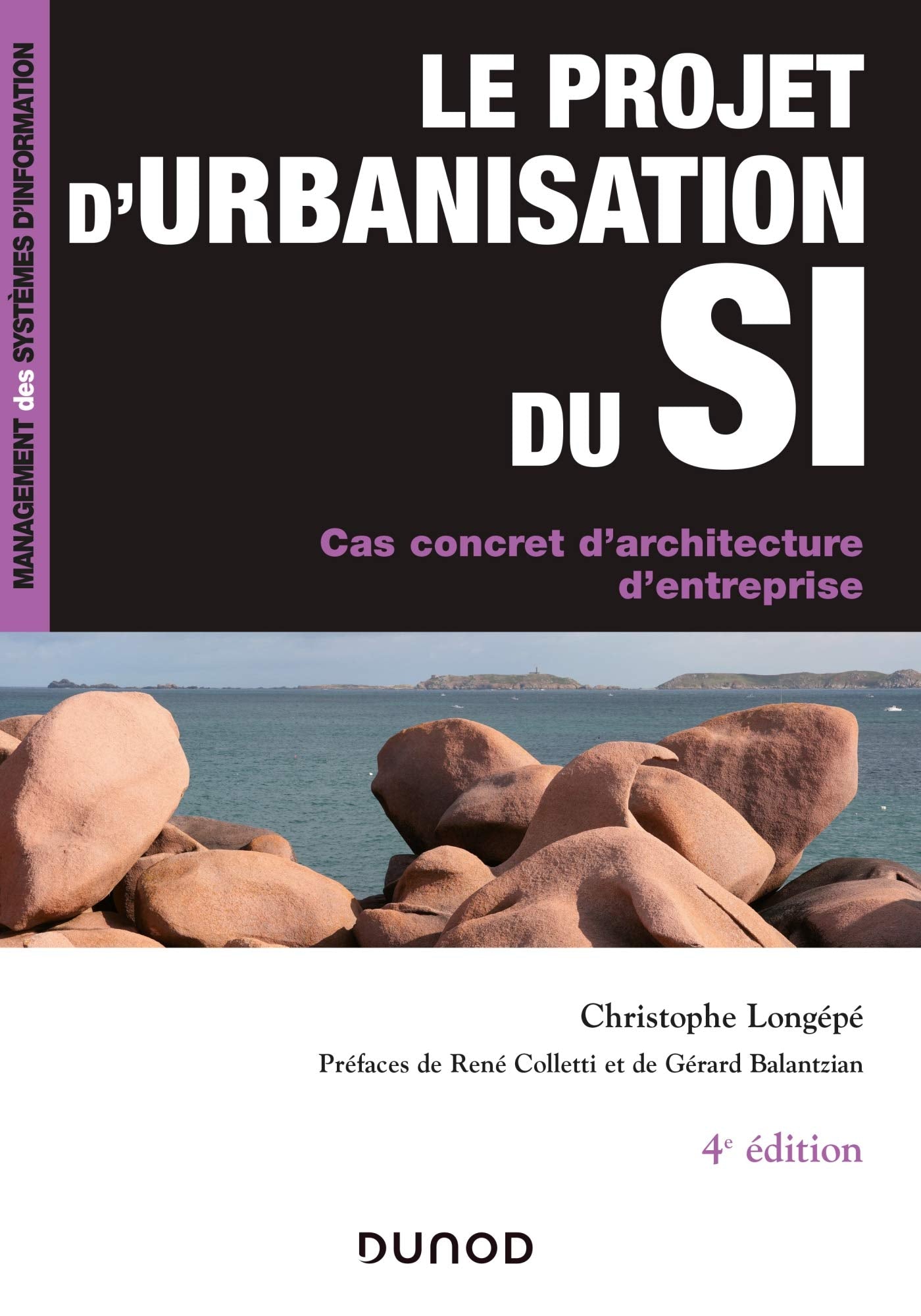 Le projet d'urbanisation du S.I. - 4e éd. - Cas concret d'architecture d'entreprise: Cas concret d'architecture d'entreprise Computer Science