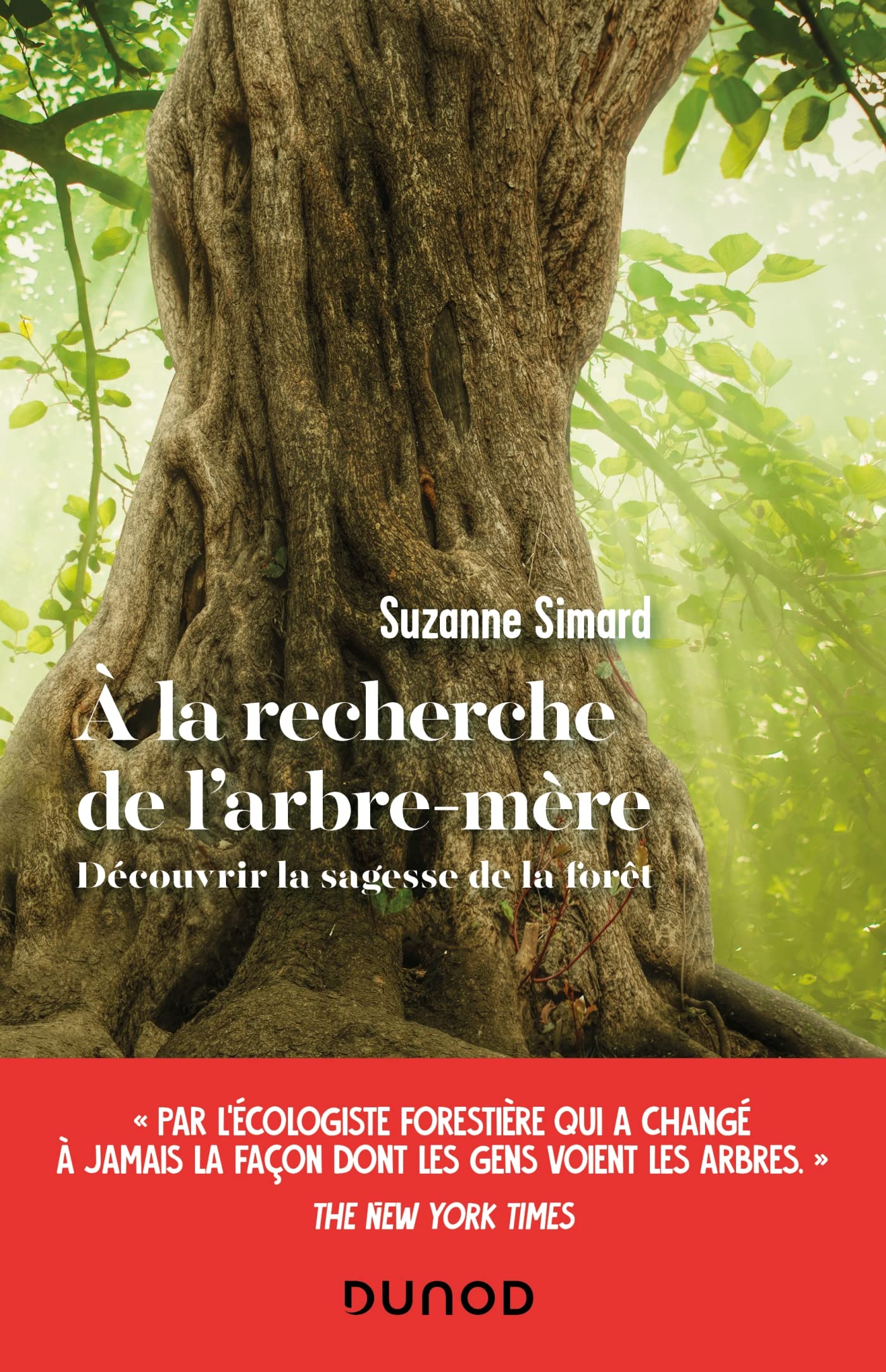 A la recherche de l'arbre-mère: Découvrir la sagesse de la forêt Natural Sciences