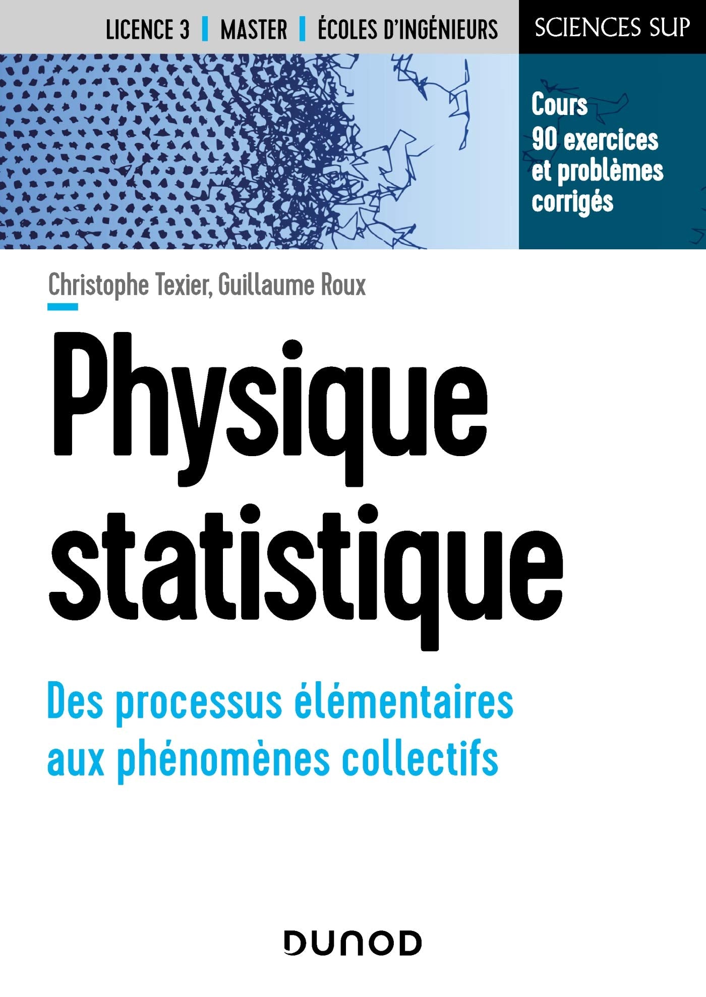 Physique statistique - Des processus élémentaires aux phénomènes collectifs: Des processus élémentaires aux phénomènes collectifs book