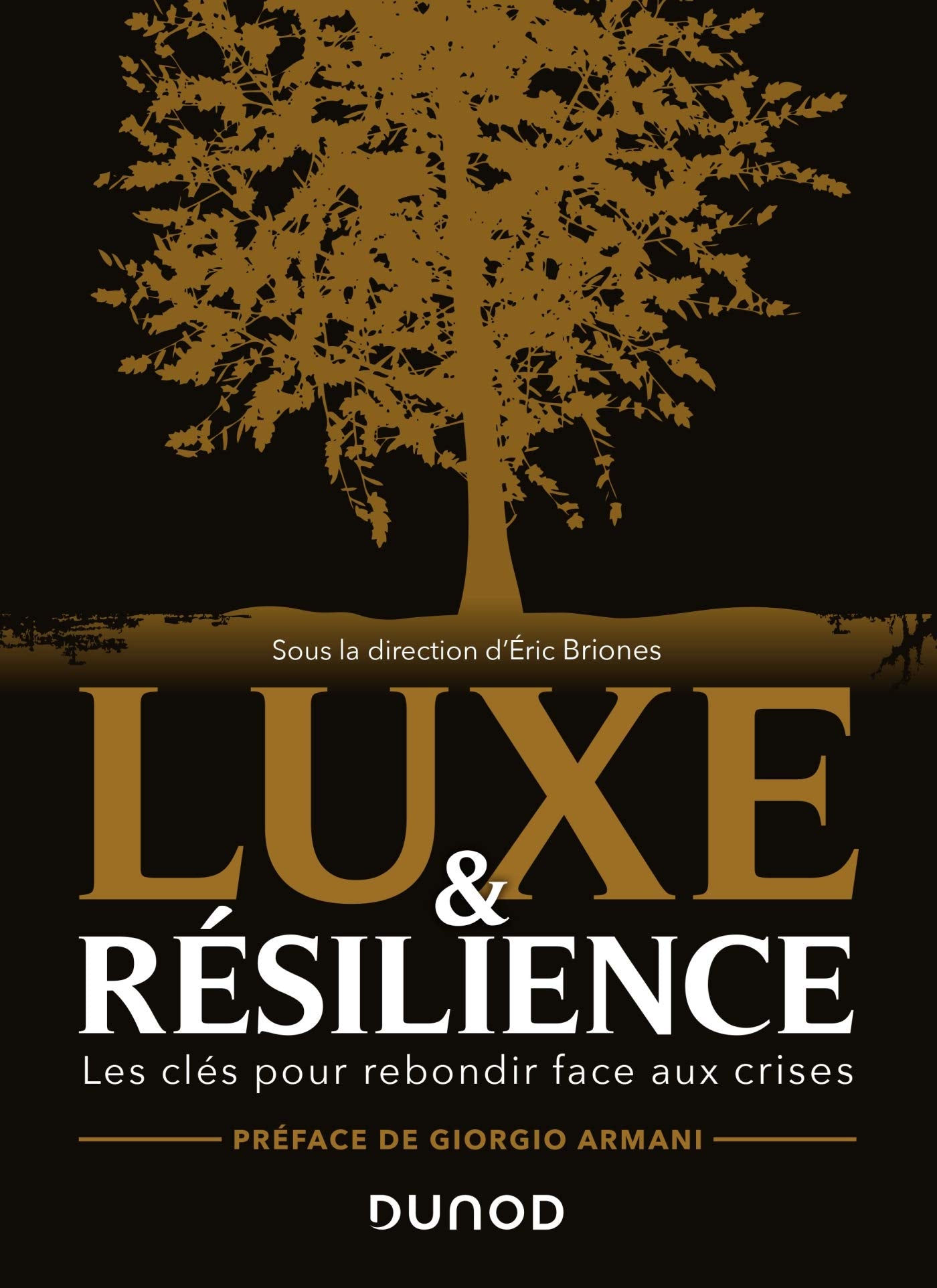 Luxe et résilience: Les clés pour rebondir face aux crises Business, Finance & Career
