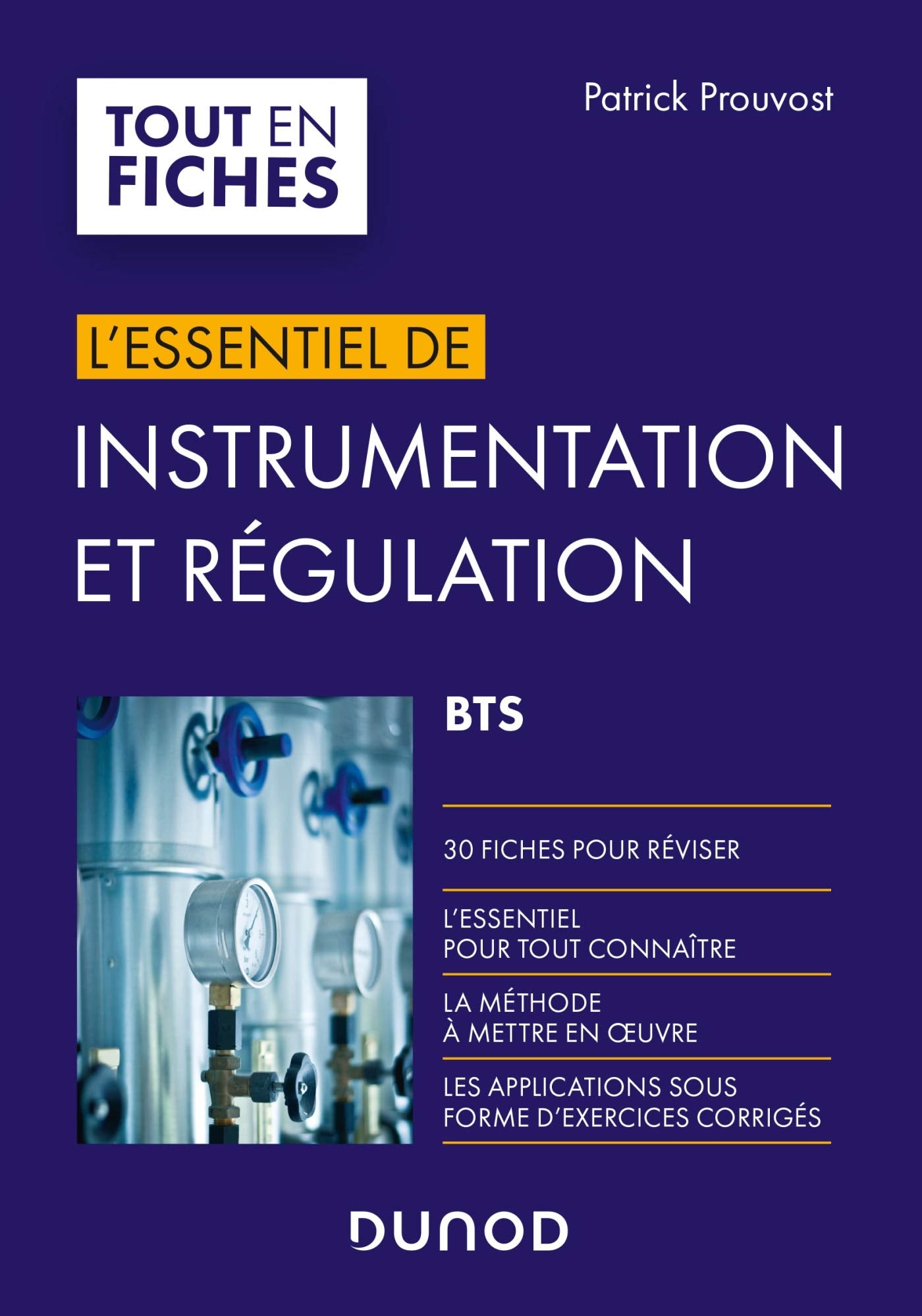 Instrumentation et régulation BTS - En 30 fiches: En 30 fiches Business & Technology