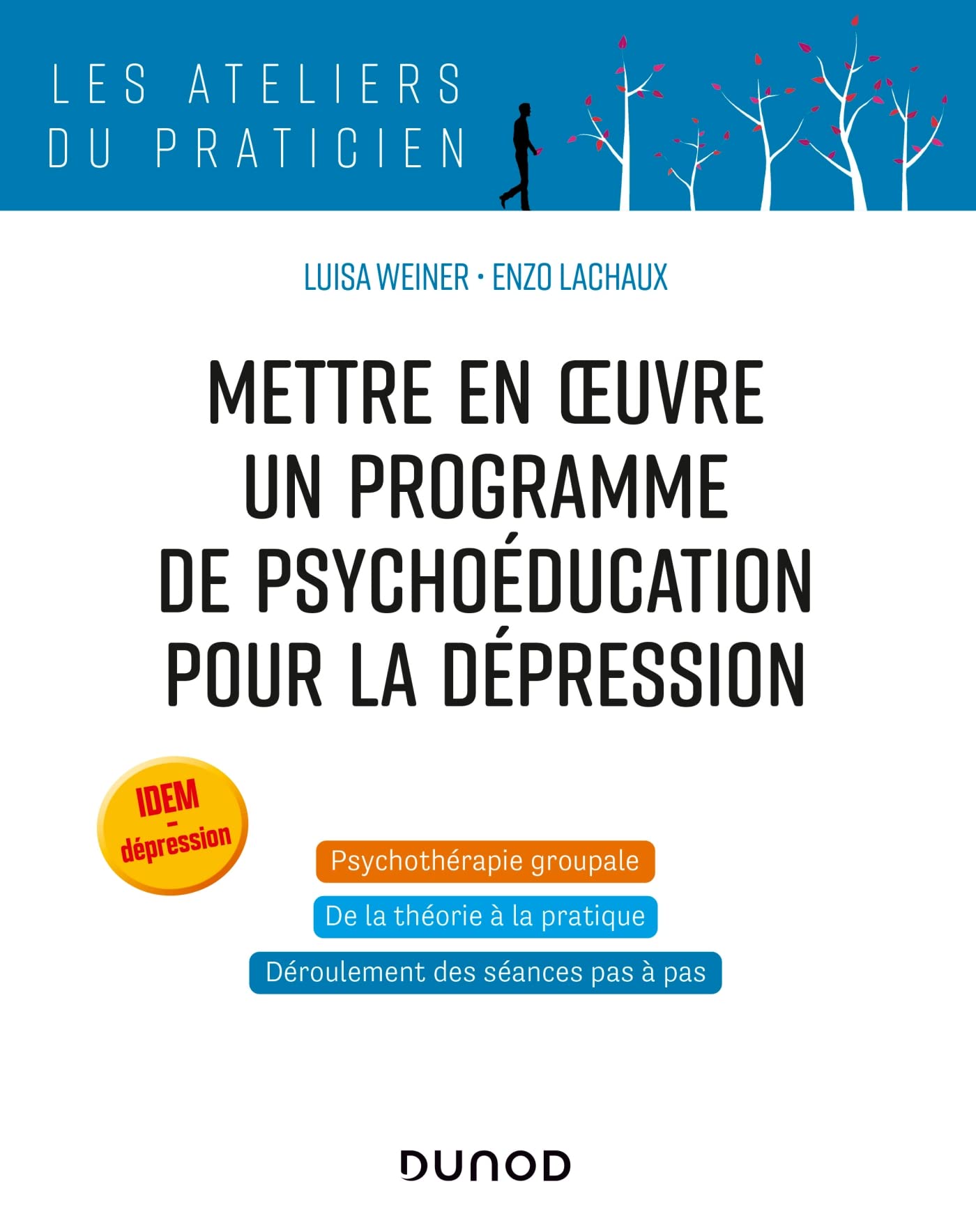 Mettre en oeuvre un programme de psychoéducation pour la dépression book