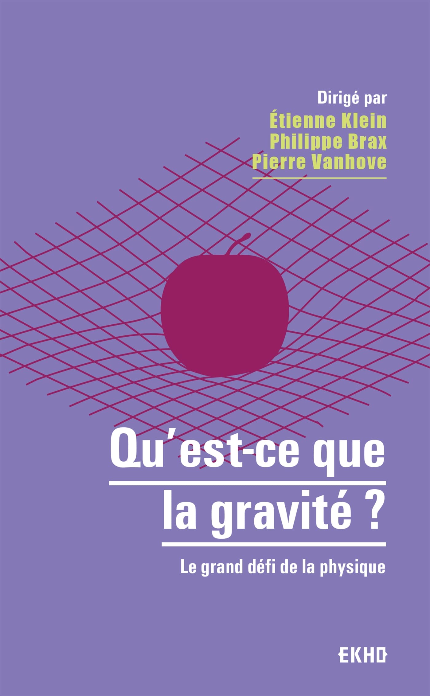Qu'est-ce que la gravité ?: Le grand défi de la physique book