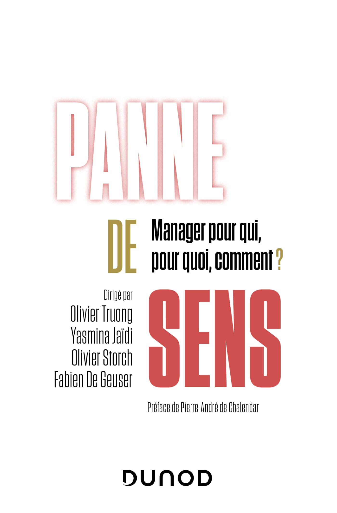 Panne de sens: Manager pour qui, pour quoi, comment ? book