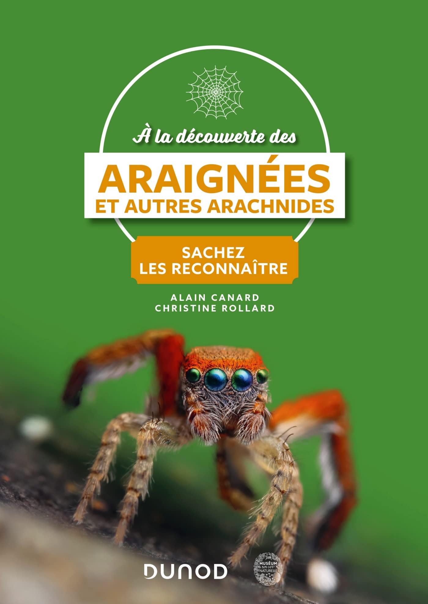 A la découverte des araignées et autres arachnides book