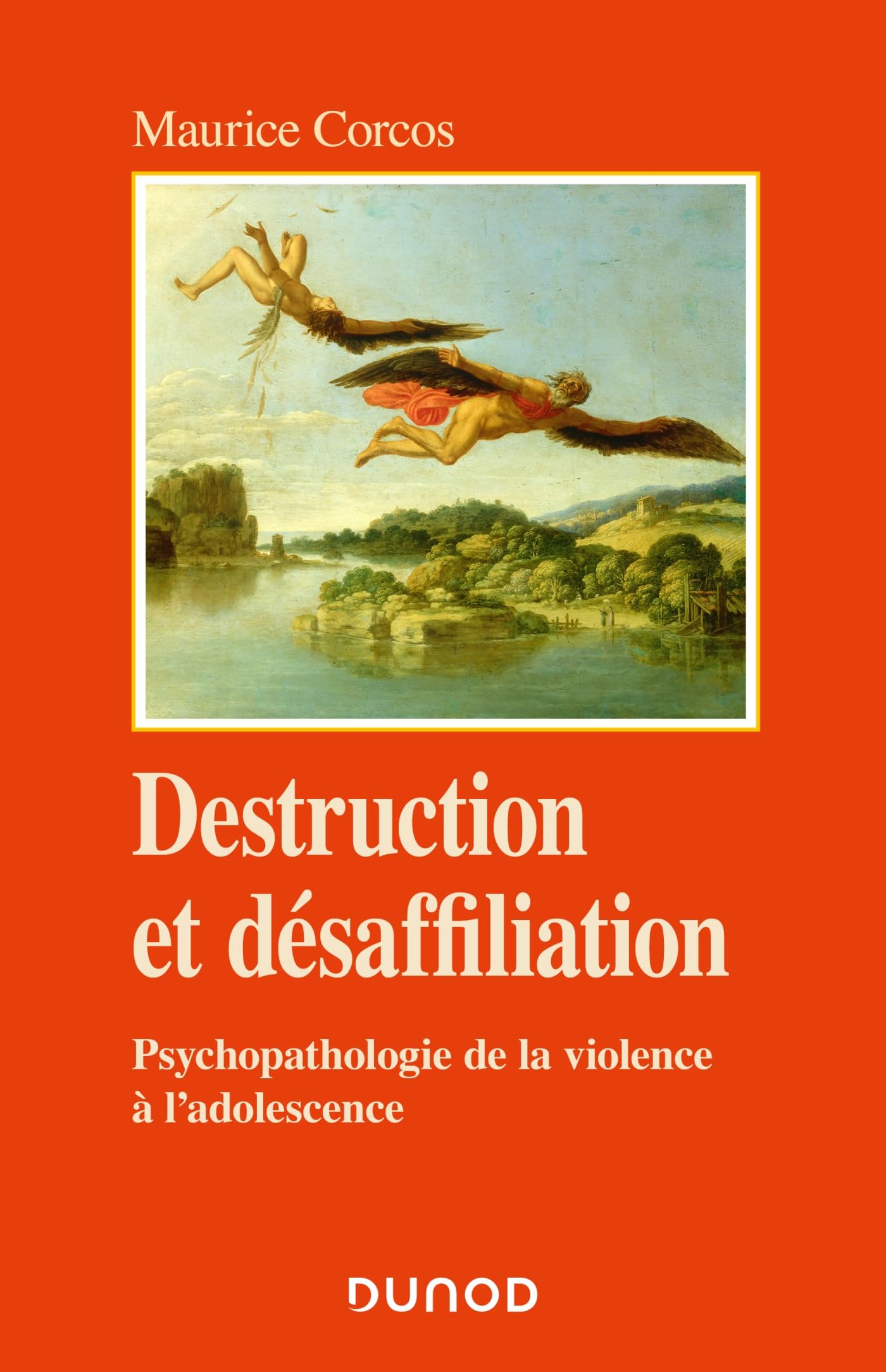 Destruction et désaffiliation: Psychopathologie de la violence à l'adolescence book
