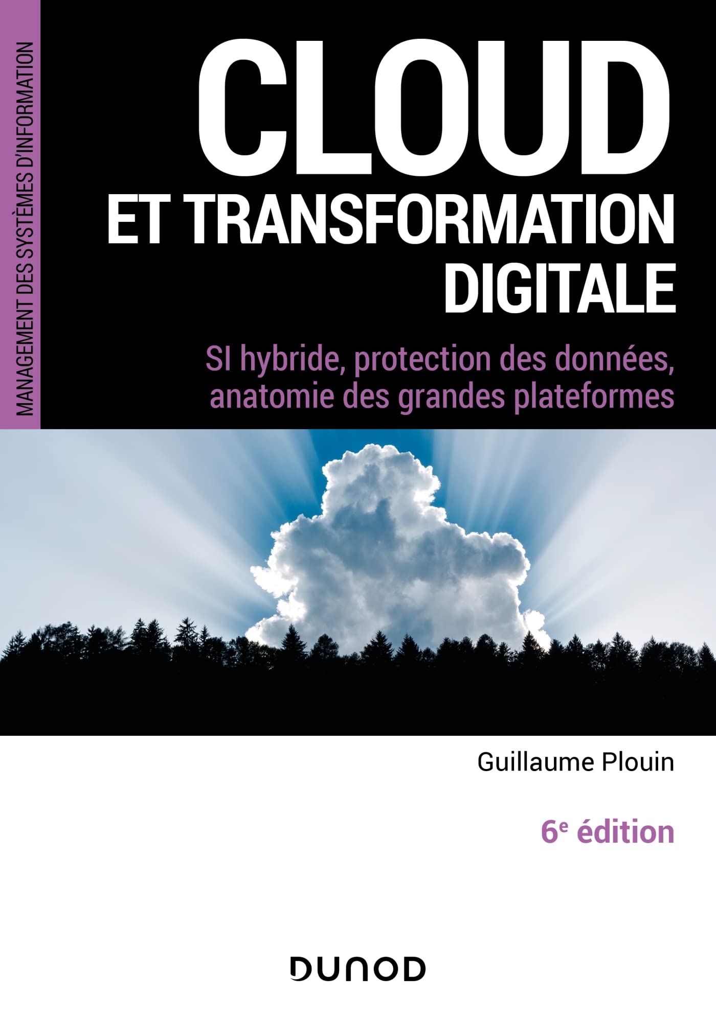 Cloud et transformation digitale - 6e éd -: SI hybride, protection des données, anatomie des grandes plateformes book