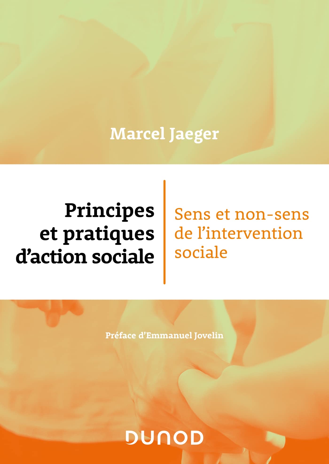 Principes et pratiques d'action sociale: Sens et non-sens de l'intervention sociale book