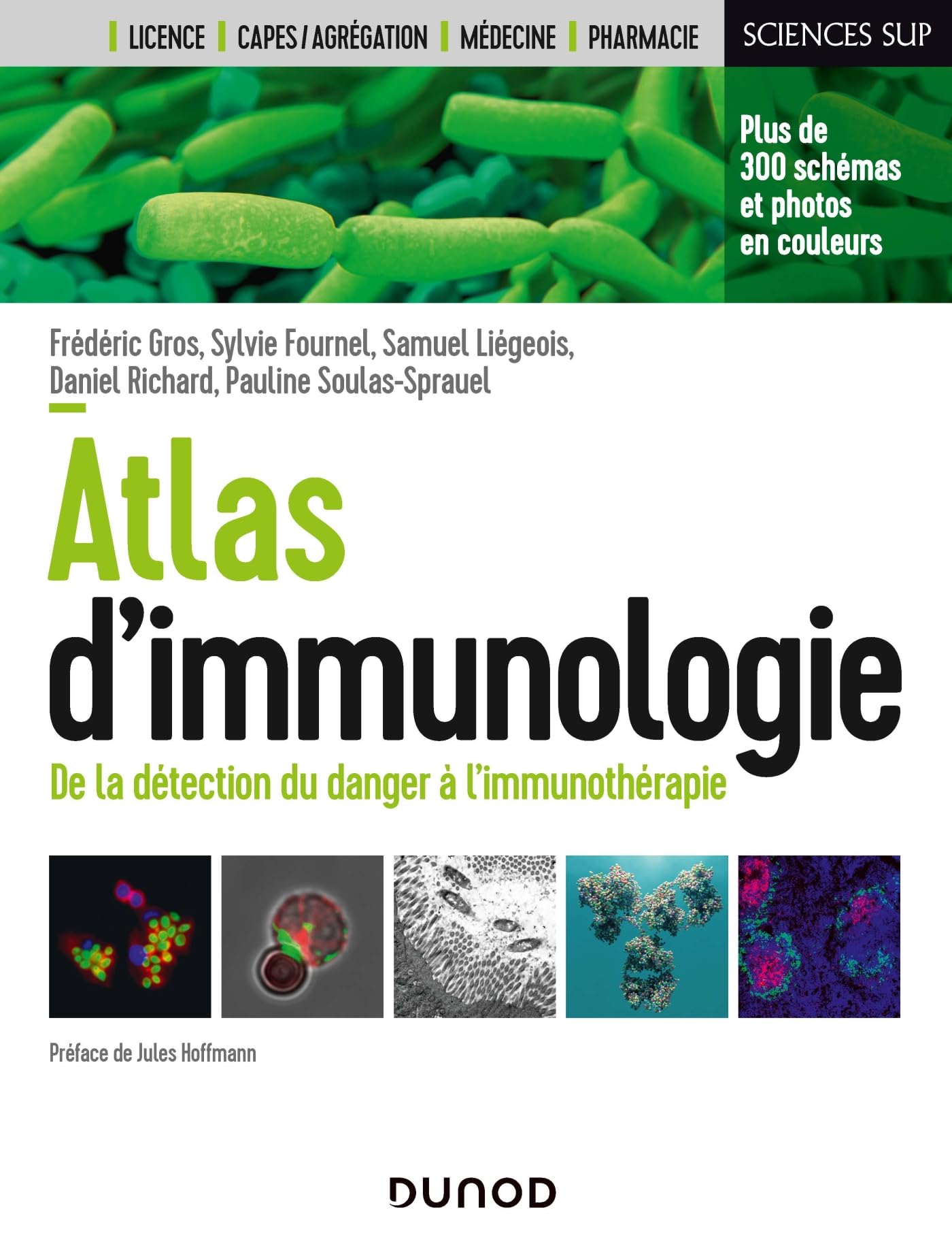 Atlas d'immunologie: De la détection du danger à l'immunothérapie Medicine