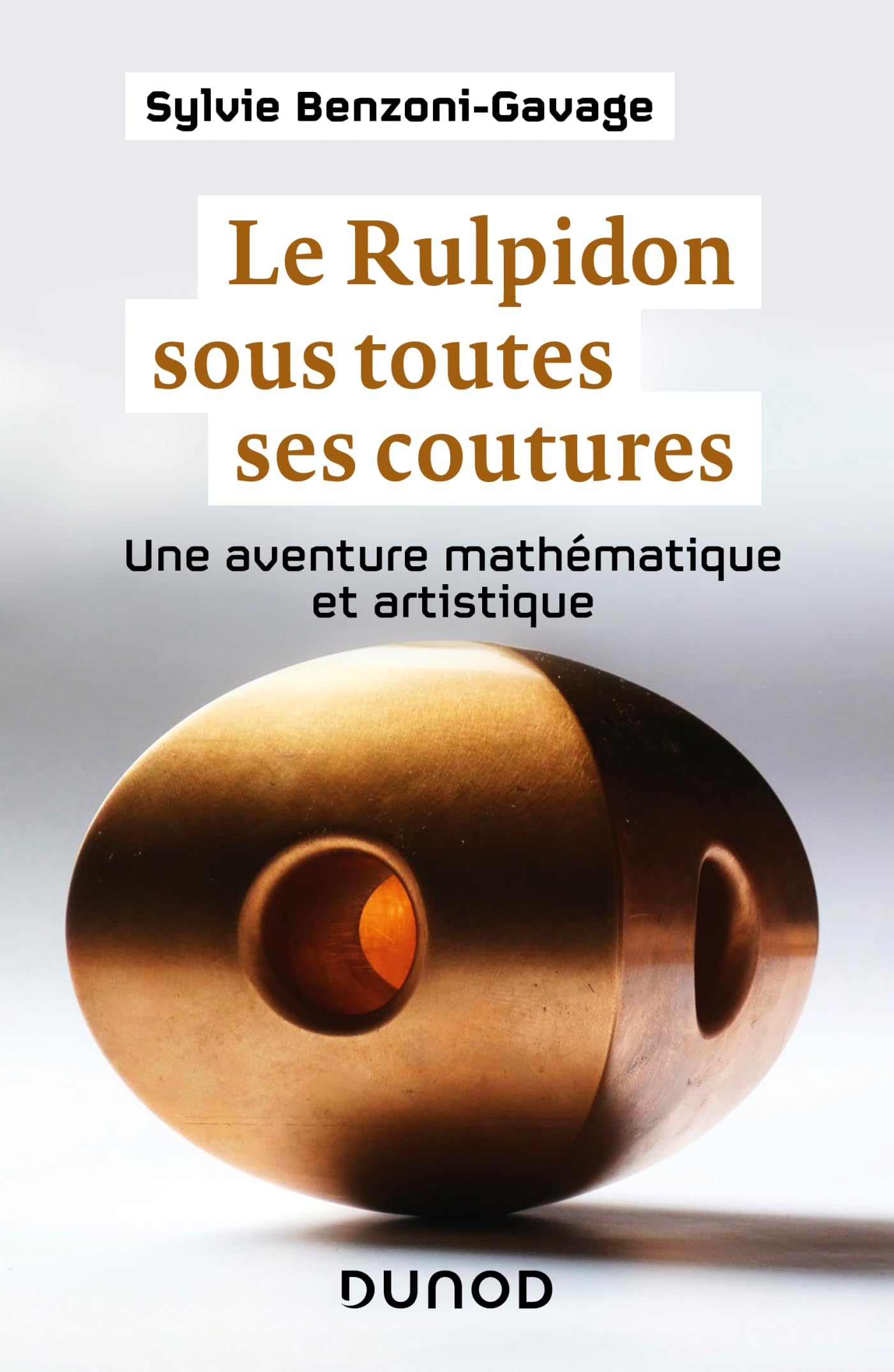 Le Rulpidon sous toutes ses coutures: Une aventure mathématique et artistique Mathematics
