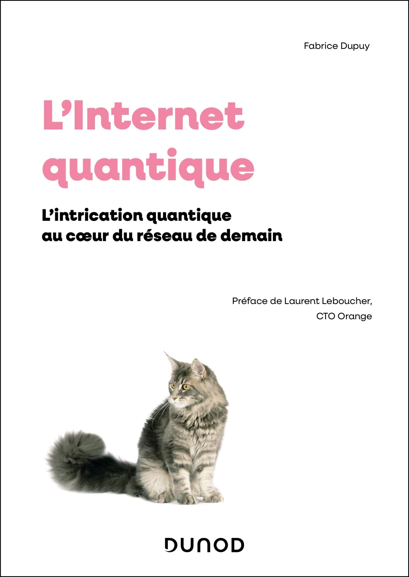 L'Internet quantique: L'intrication quantique au coeur du reseau de demain book