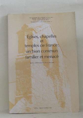 Eglises, chapelles et temples de France, un bien commun familier et menacé : état et utilisation des lieux de culte book