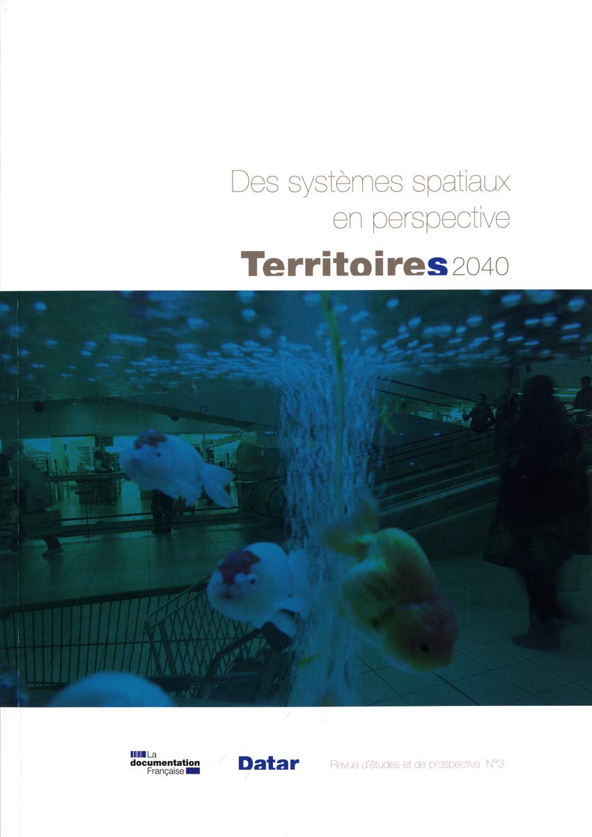 Des Systemes Spatiaux en Perspective (N.3) book