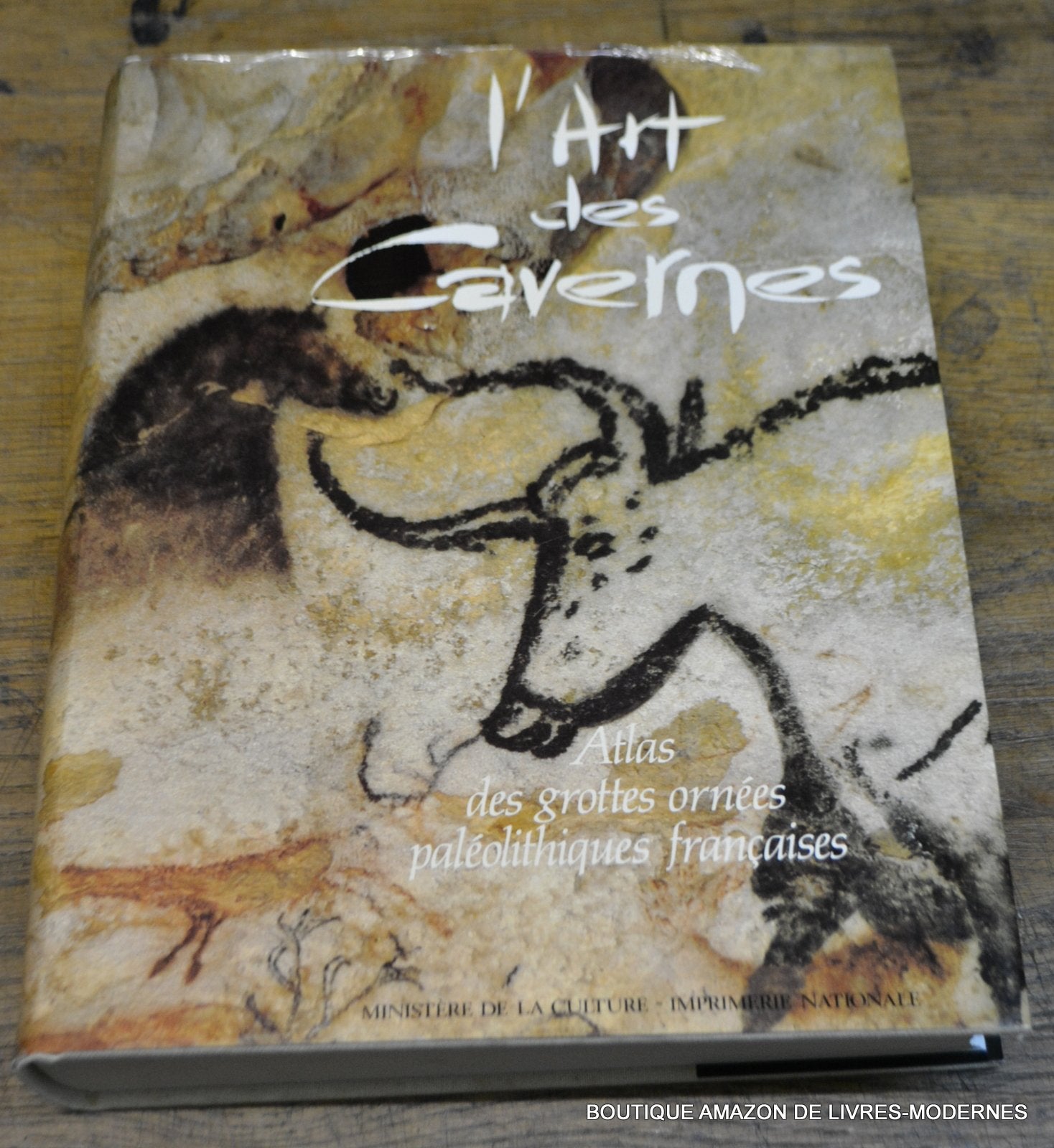 L'Art des cavernes : atlas des grottes ornées paléolithiques françaises Books