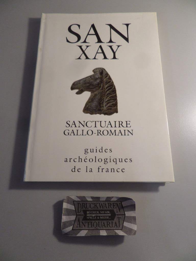 Sanxay: Un grand sanctuaire rural gallo-romain Books