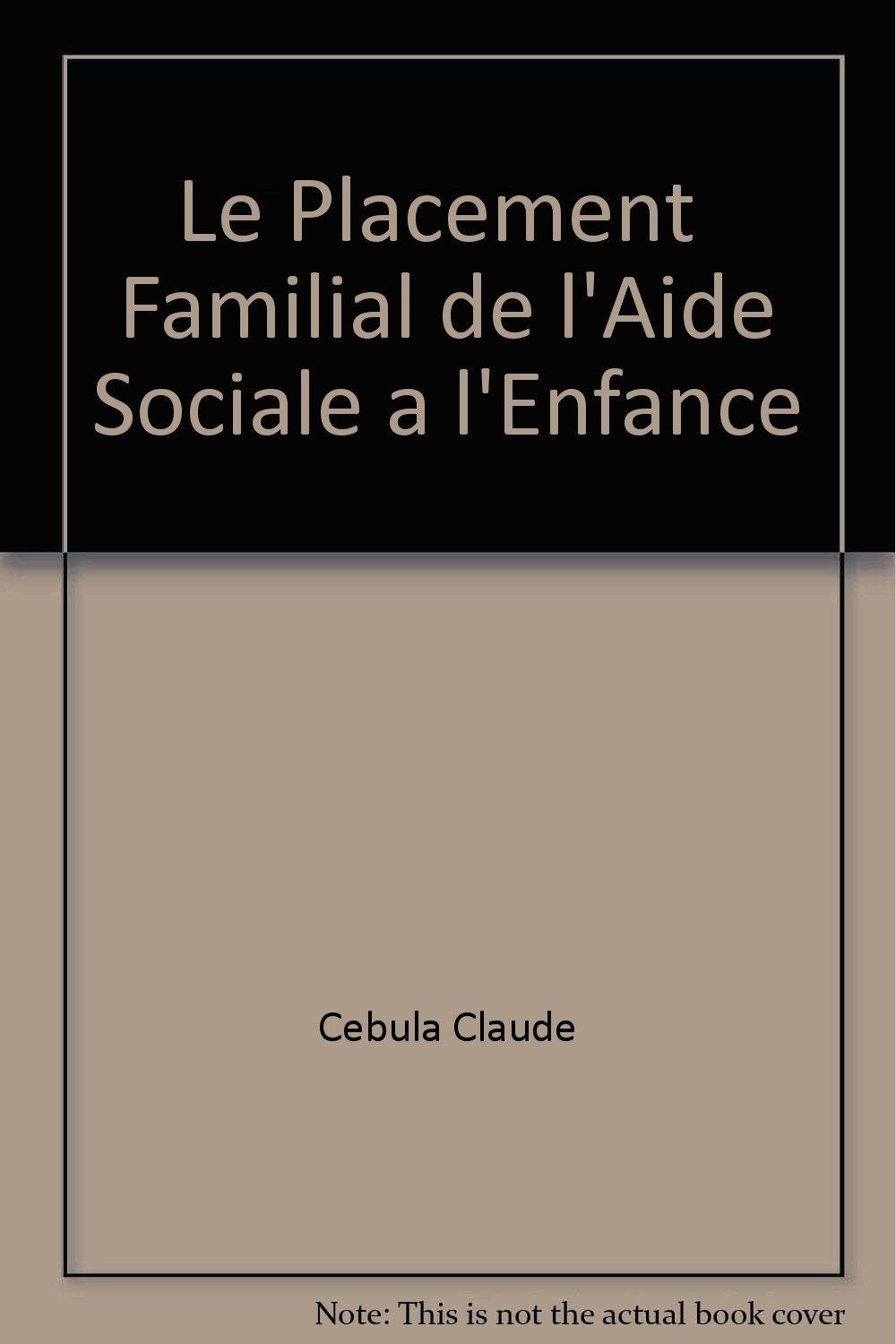 Placement familial aide sociale enfance Books