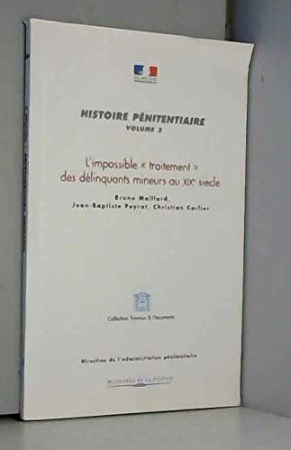 L'impossible traitement des délinquants mineurs au XIXe siècle (Histoire pénitentiaire) Books