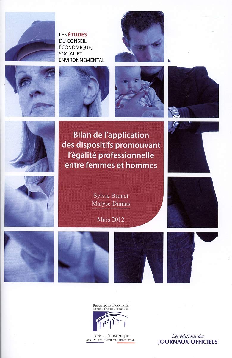 Bilan de l'application des dispositions promouvant l'égalite professionnelle book