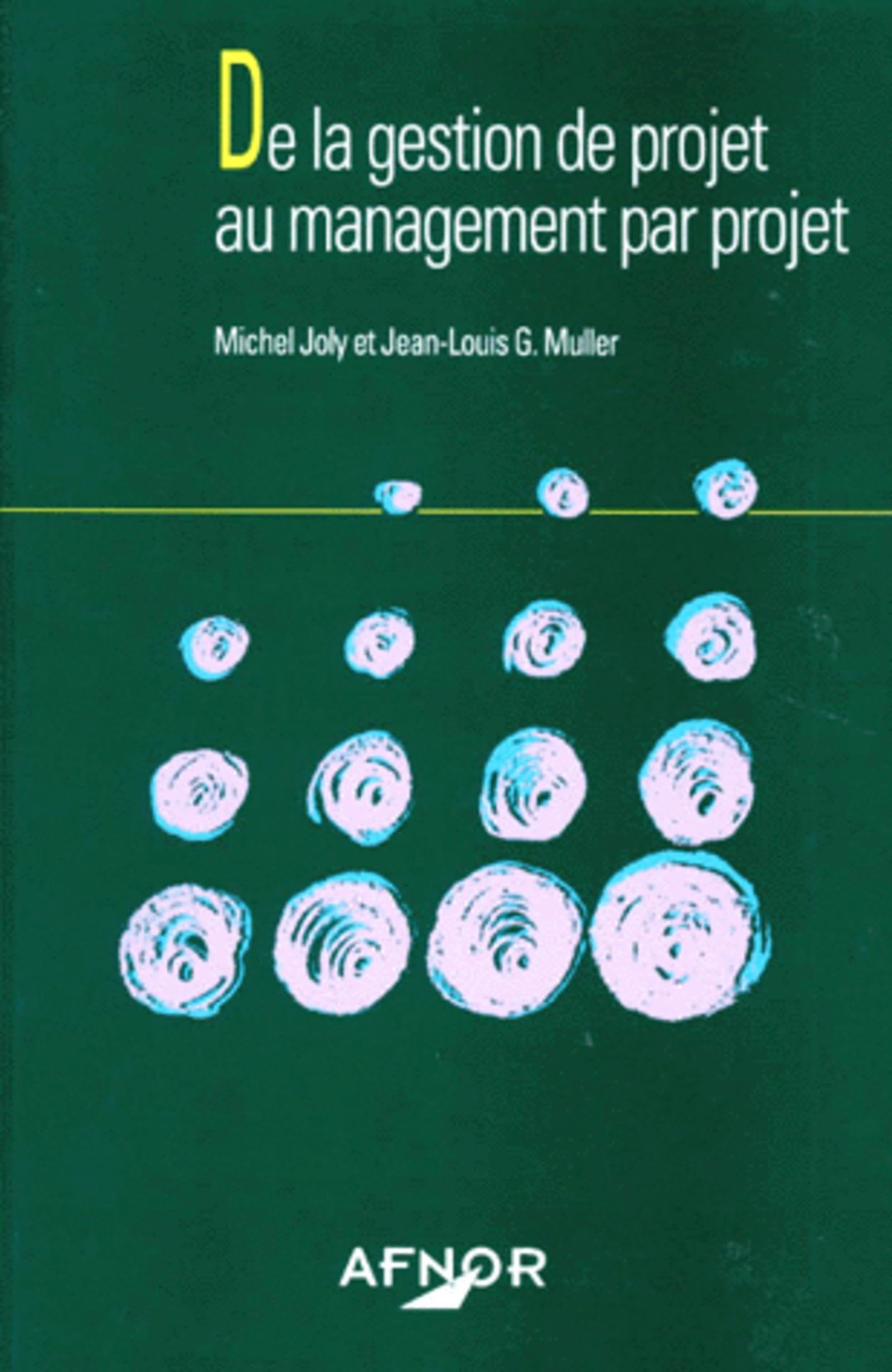 De la gestion de projet au management par projet : maîtriser les risques d'une organisation transversale book