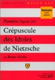 Premières leçons sur « Crépuscule des idoles » de Nietzsche Business, Finance & Career