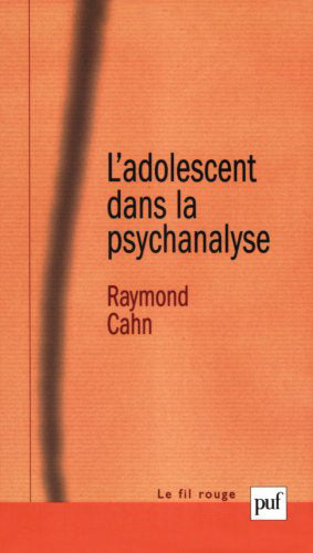 L'adolescent dans la psychanalyse : l'aventure de la subjectivation Psychology