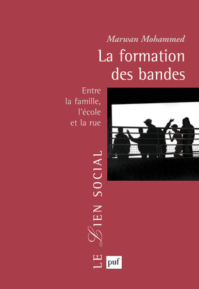 La formation des bandes : entre la famille, l'école et la rue Books