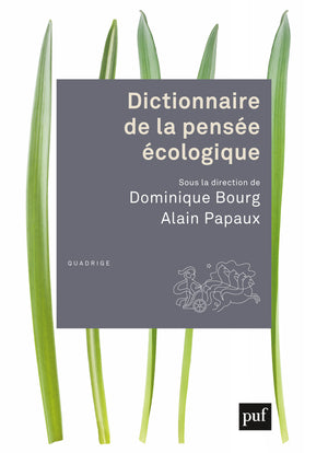Dictionnaire de la pensée écologique book