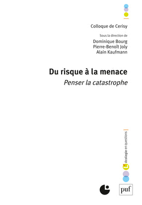 Du risque à la menace : penser la catastrophe : colloque de Cerisy book