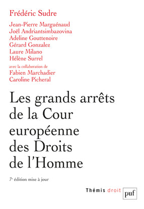 Les grands arrêts de la Cour européenne des droits de l'homme Law