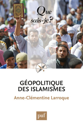Géopolitique des islamismes Politics & History