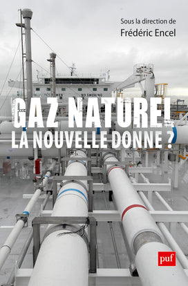 Gaz naturel, la nouvelle donne ? book