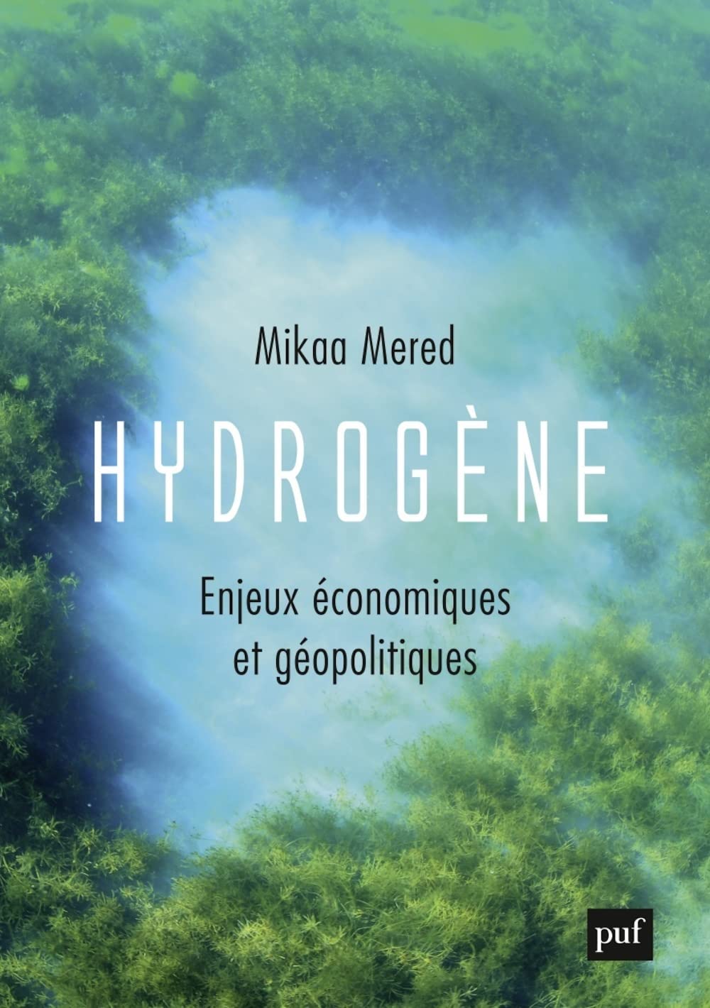 Hydrogène: Enjeux économiques et géopolitiques book
