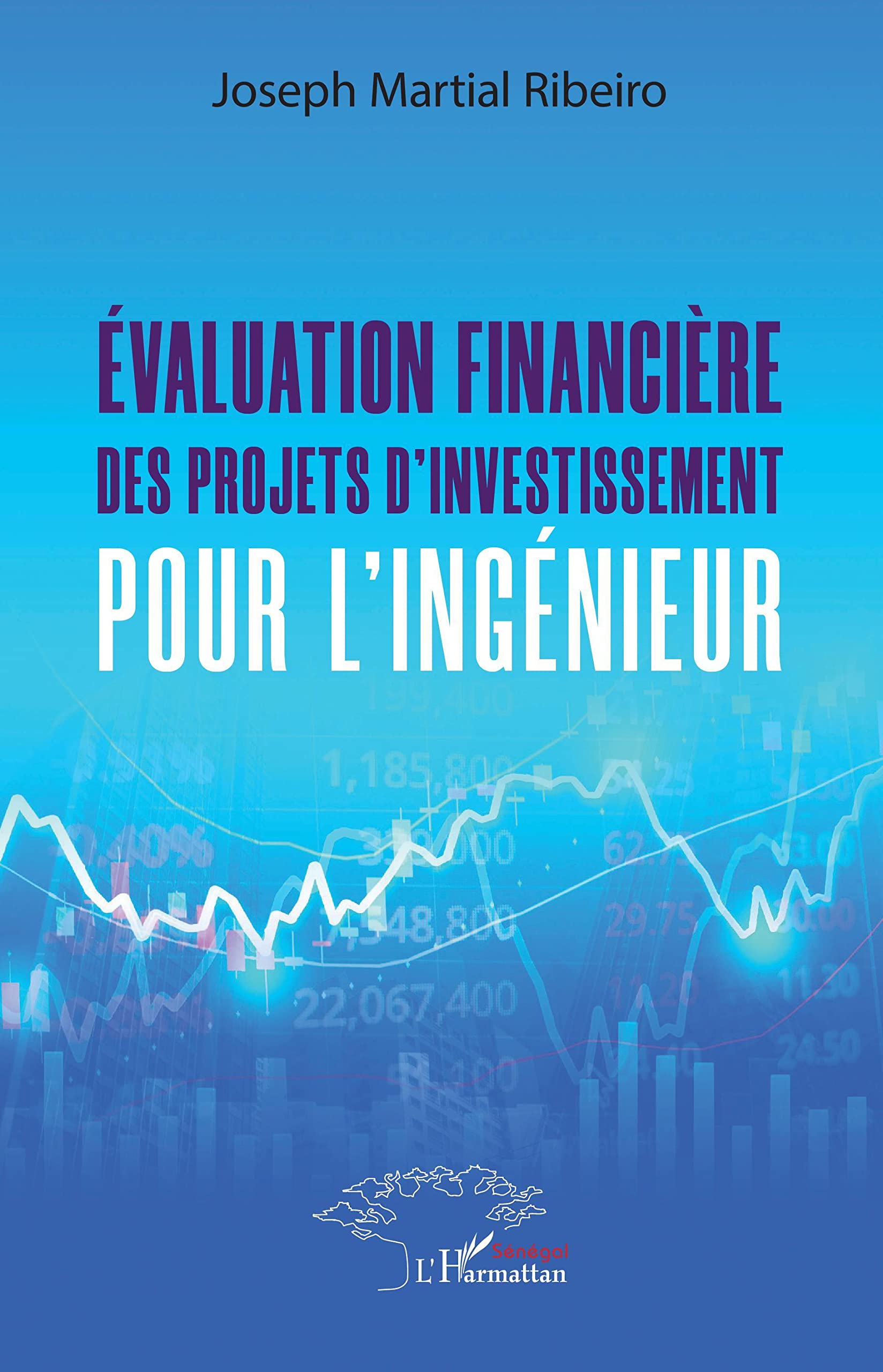 Evaluation financière des projets d'investissement pour l'ingénieur. book