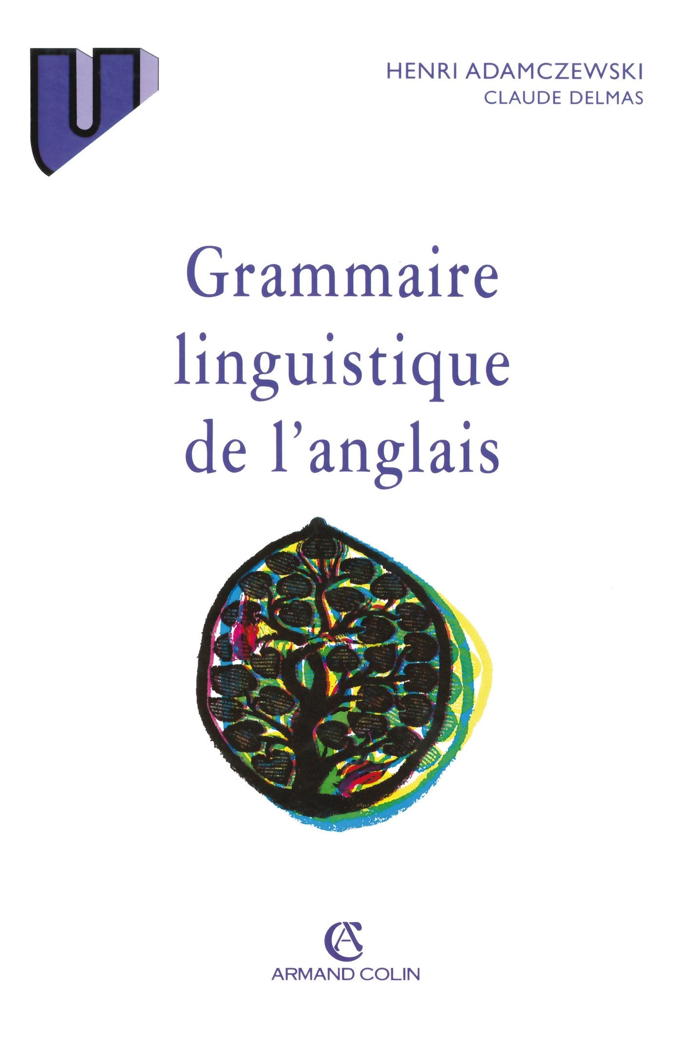 Grammaire linguistique de l'anglais Books