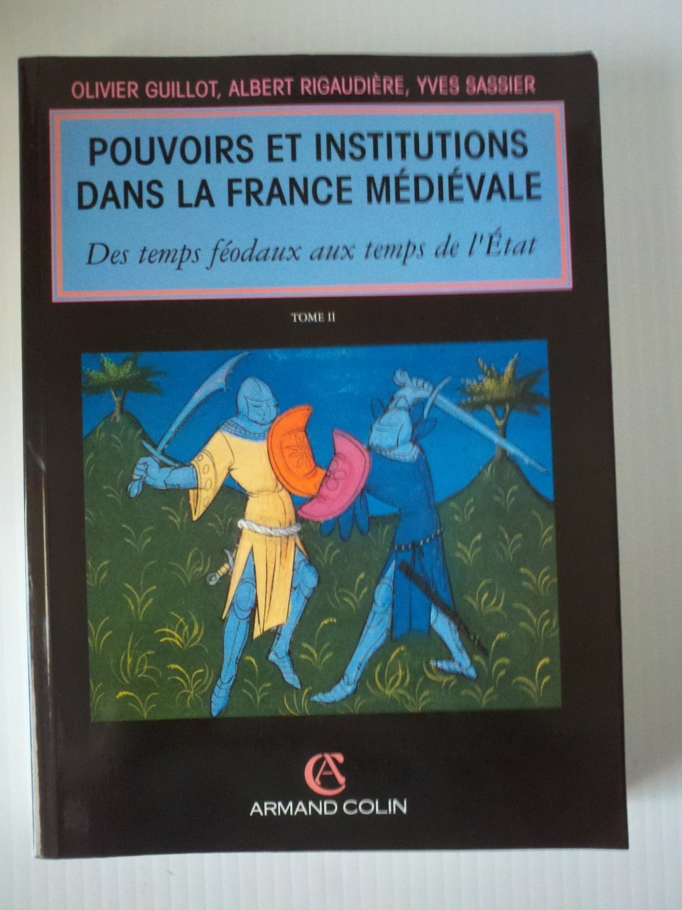 Pouvoirs Et Institutions Dans La France Medievale. Tome 2, Des Temps Feodaux Aux Temps De L'Etat book