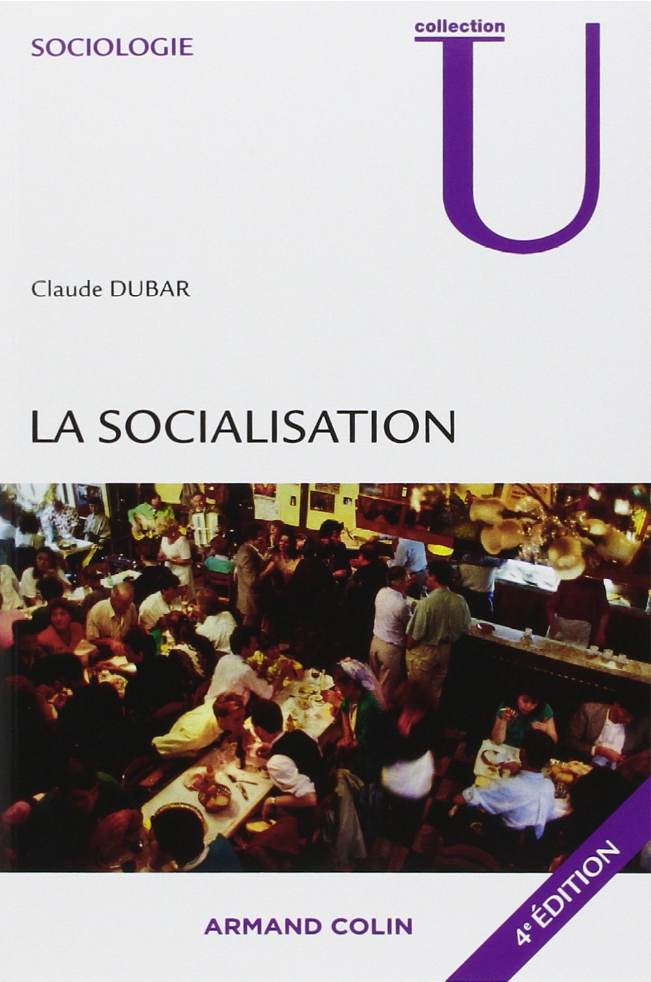 La socialisation: Construction des identités sociales et professionnelles book
