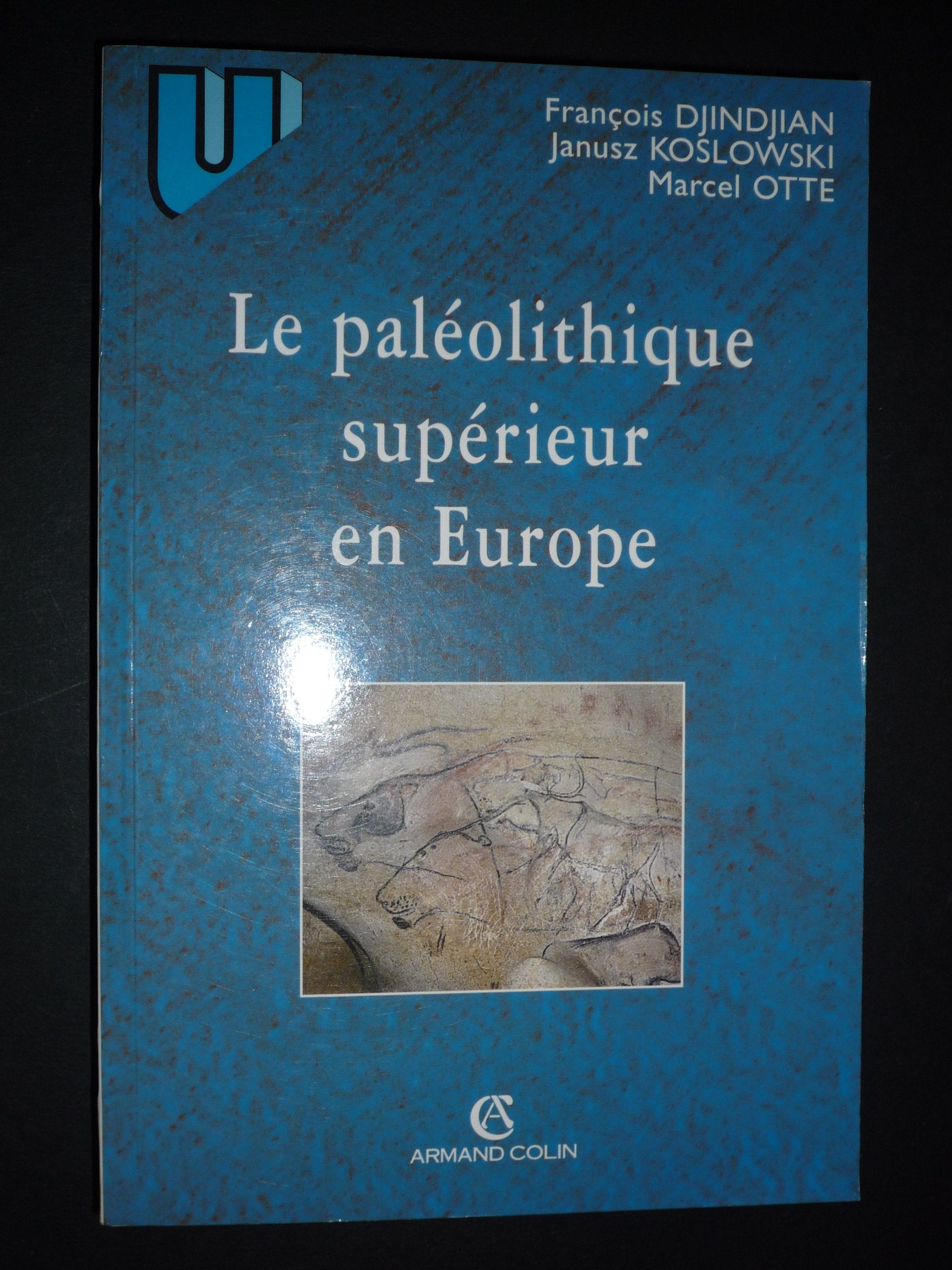 Le Paleolithique Superieur En Europe book
