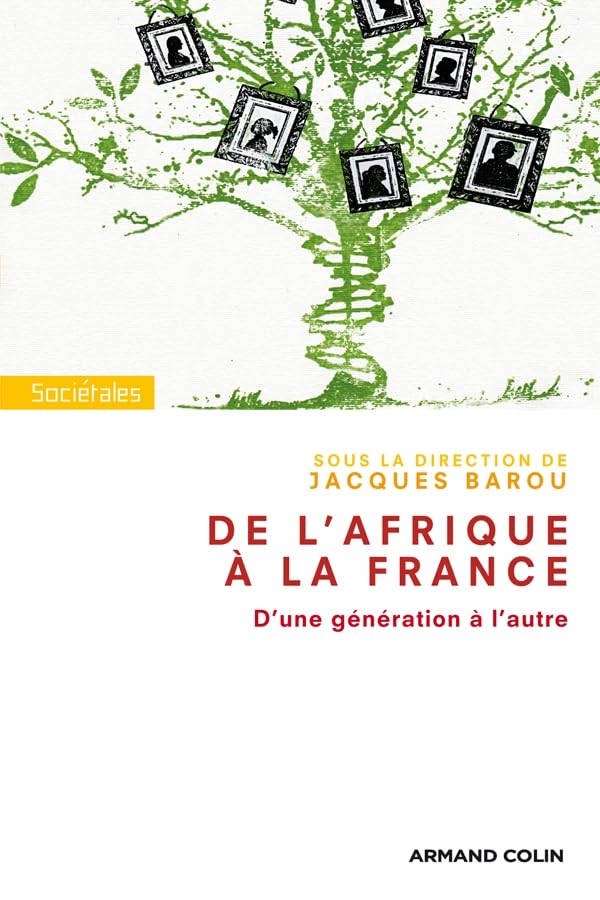 De l'Afrique à la France: D'une génération à l'autre book