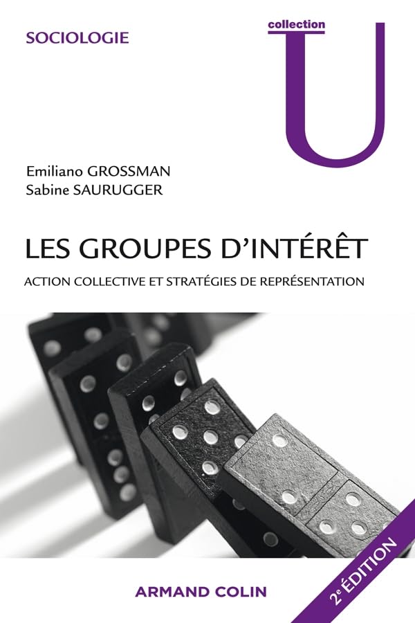 Les groupes d'intérêt: Action collective et stratégies de représentation book
