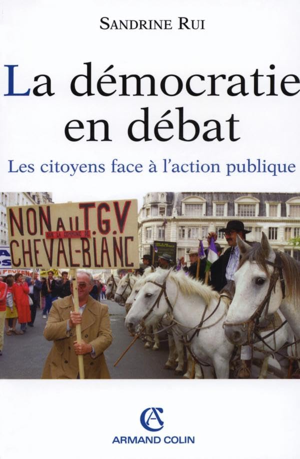 La Démocratie en débat : Les Citoyens face à l'action publique book